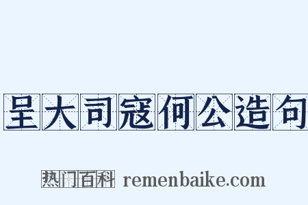 呈大司寇何公造句是什么意思的图片